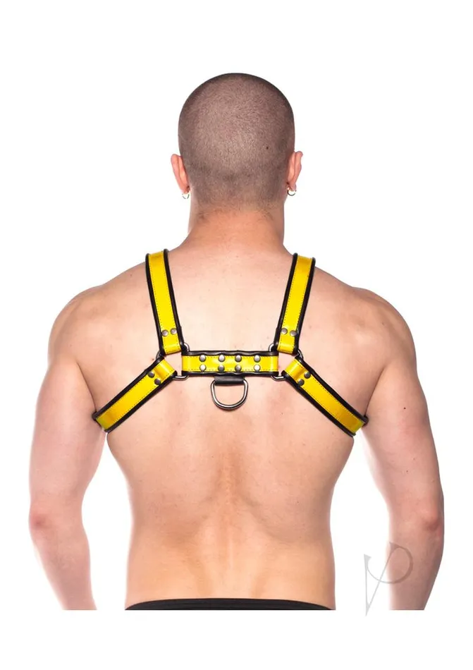 Prowler Red Anal Prowler RED Bull Harness XXLarge BlackYellow Prowler Red Anal Prowler RED Bull Harness XXLarge BlackYellow
